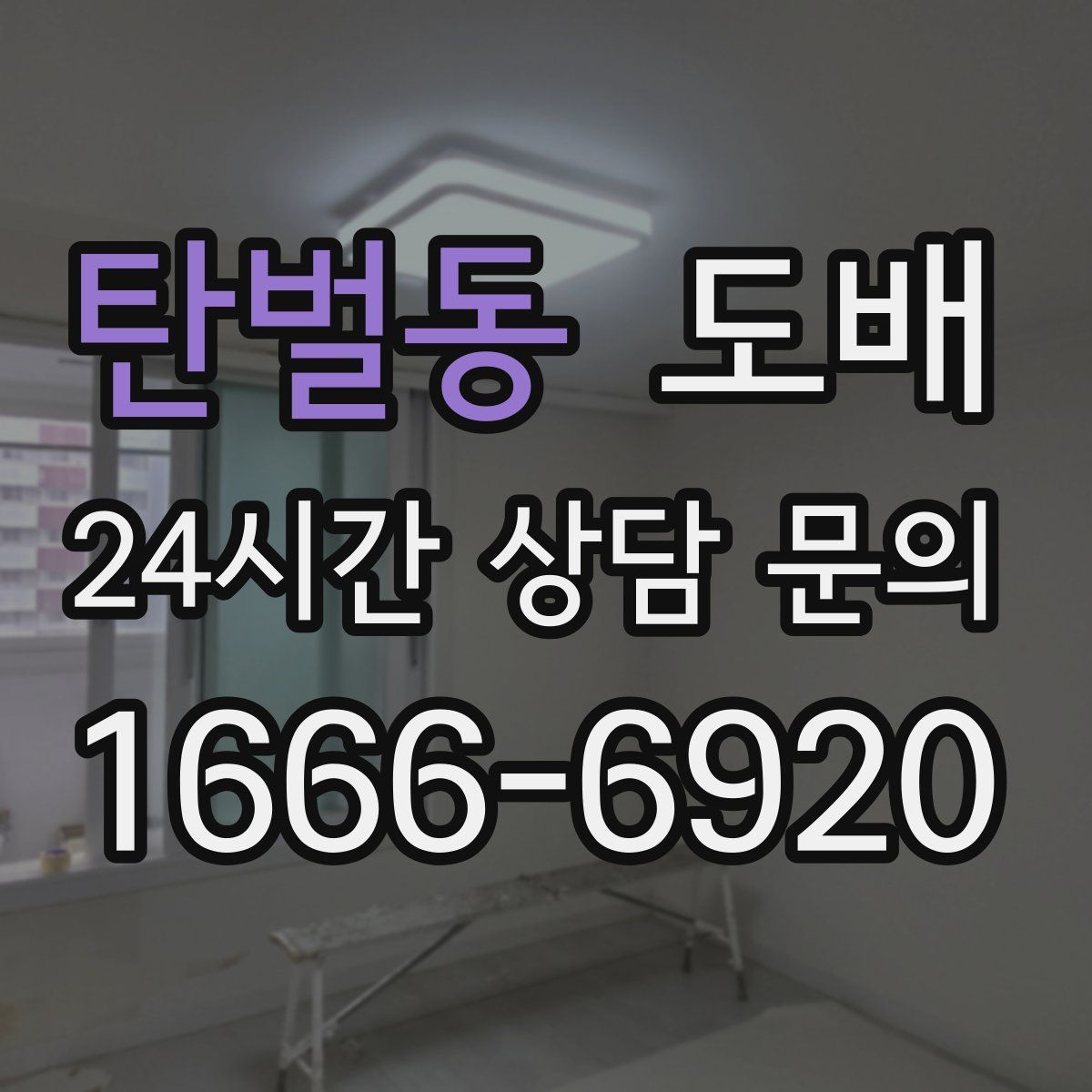 탄벌동 도배