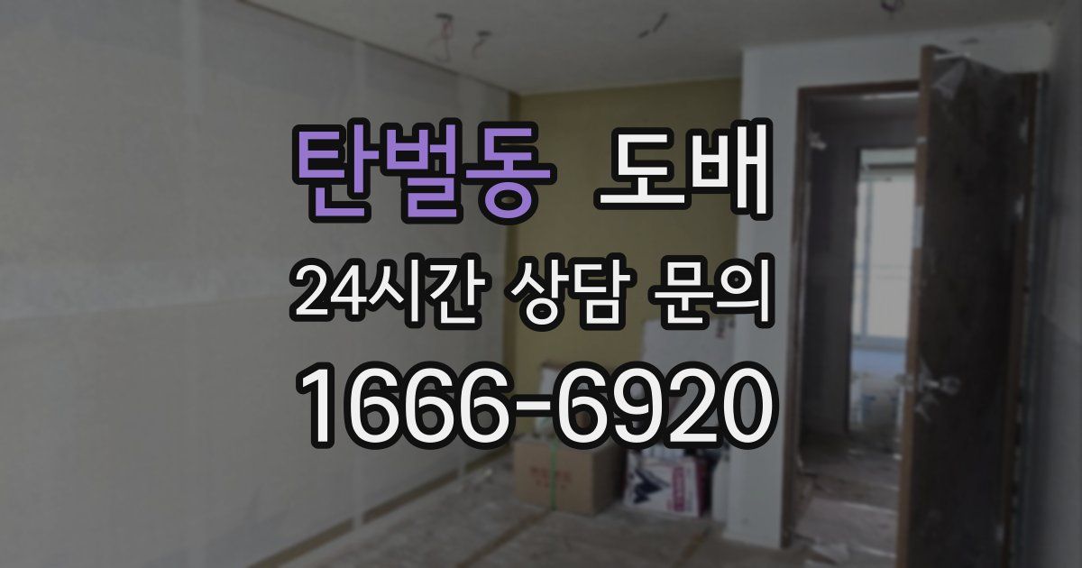 탄벌동 도배