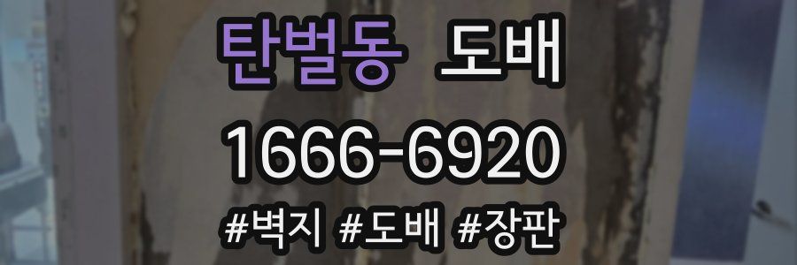탄벌동 도배