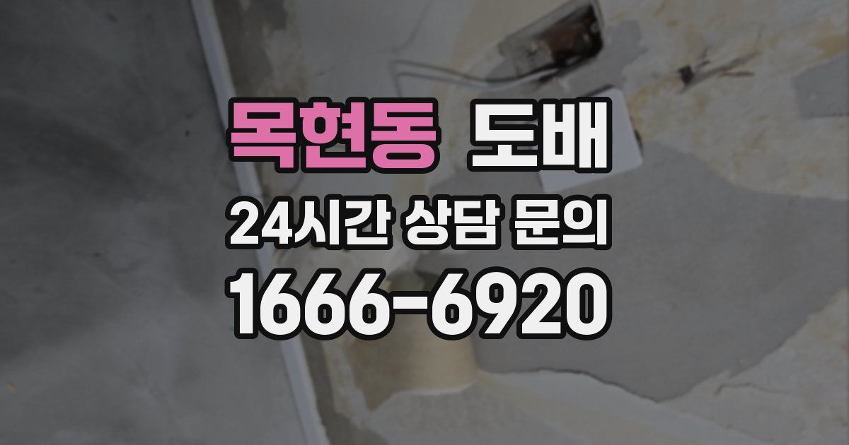 목현동 도배