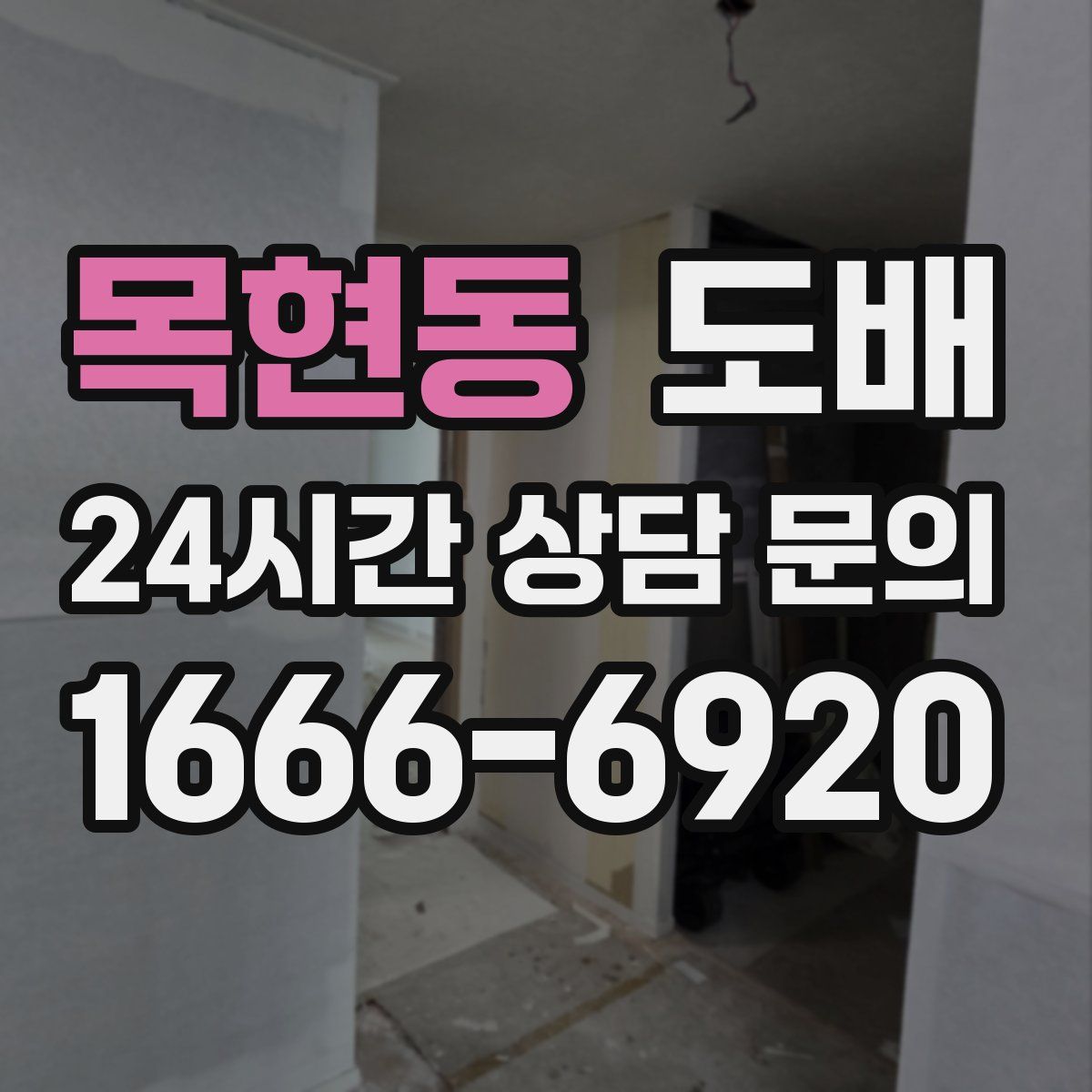 목현동 도배