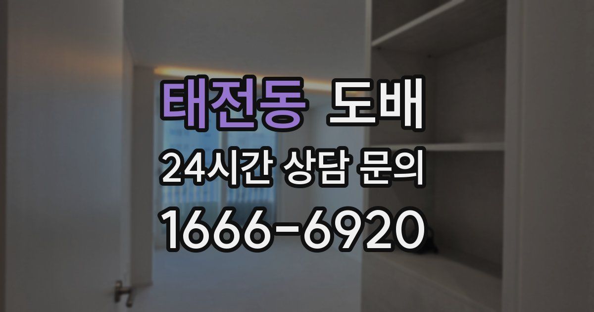 태전동 도배