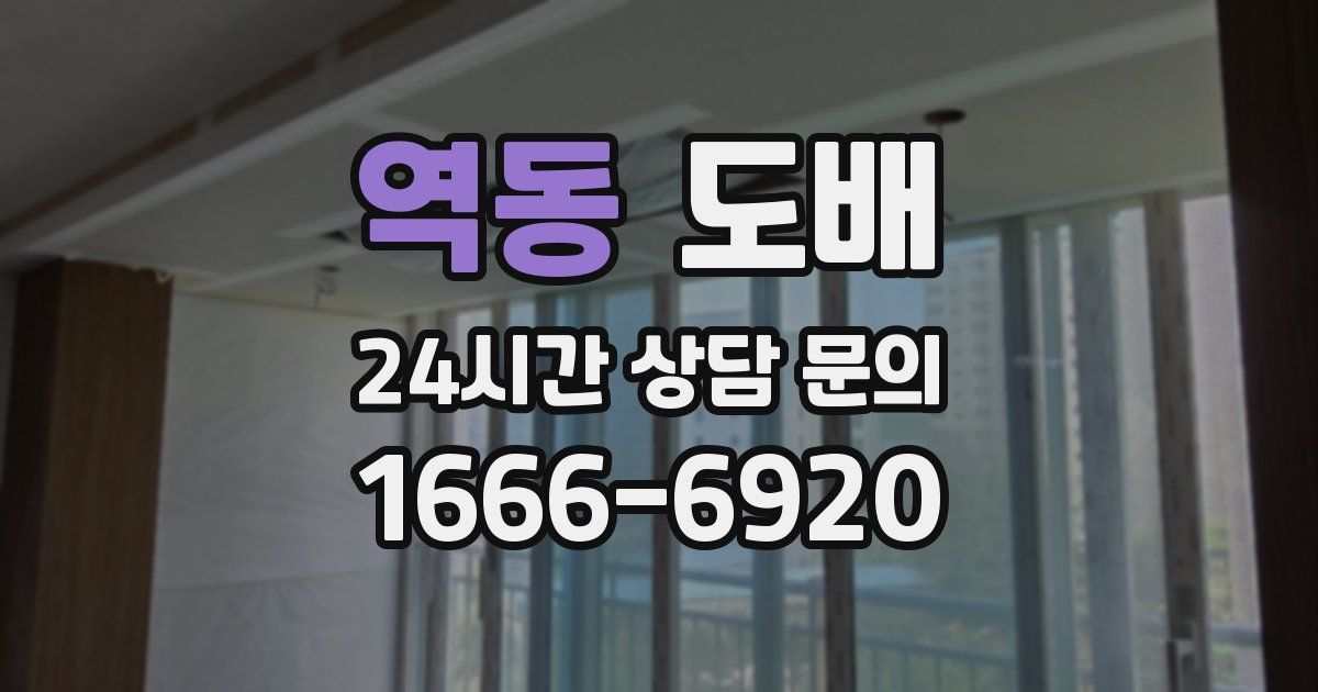 역동 도배