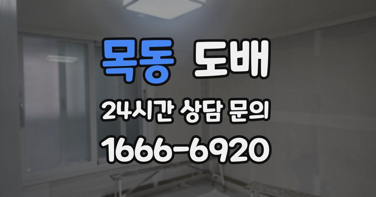 목동 도배