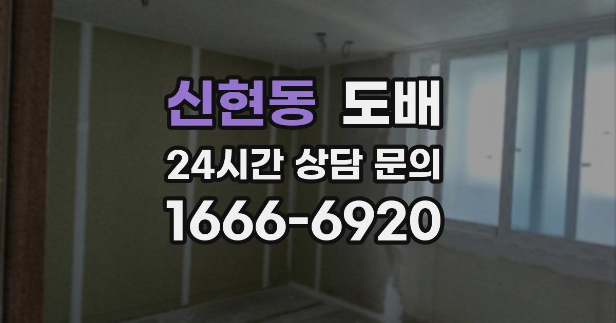 신현동 도배