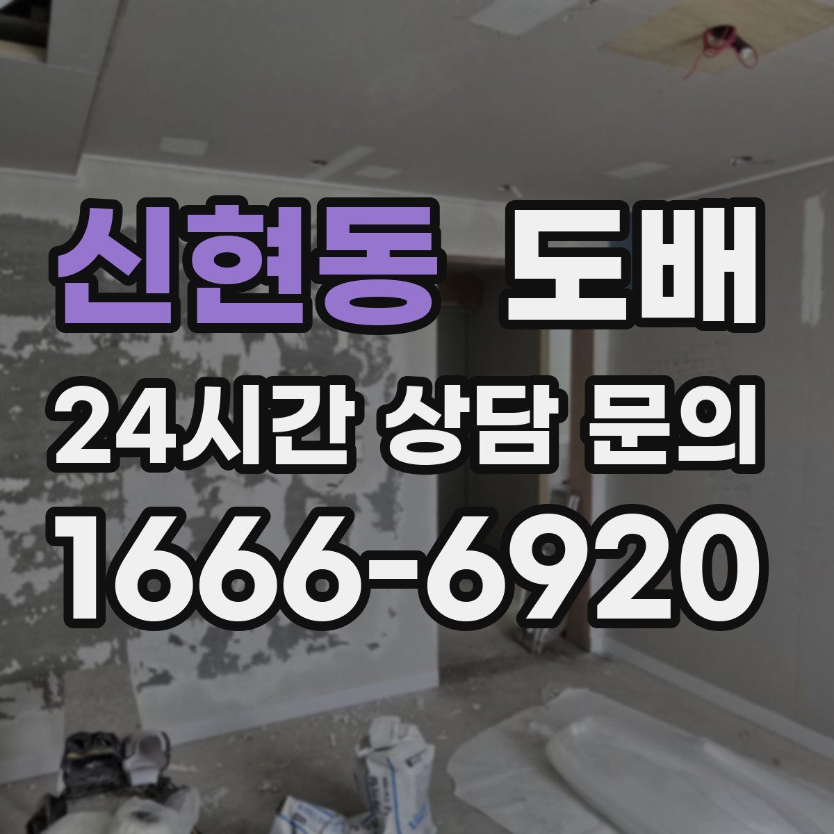 신현동 도배