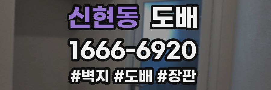신현동 도배