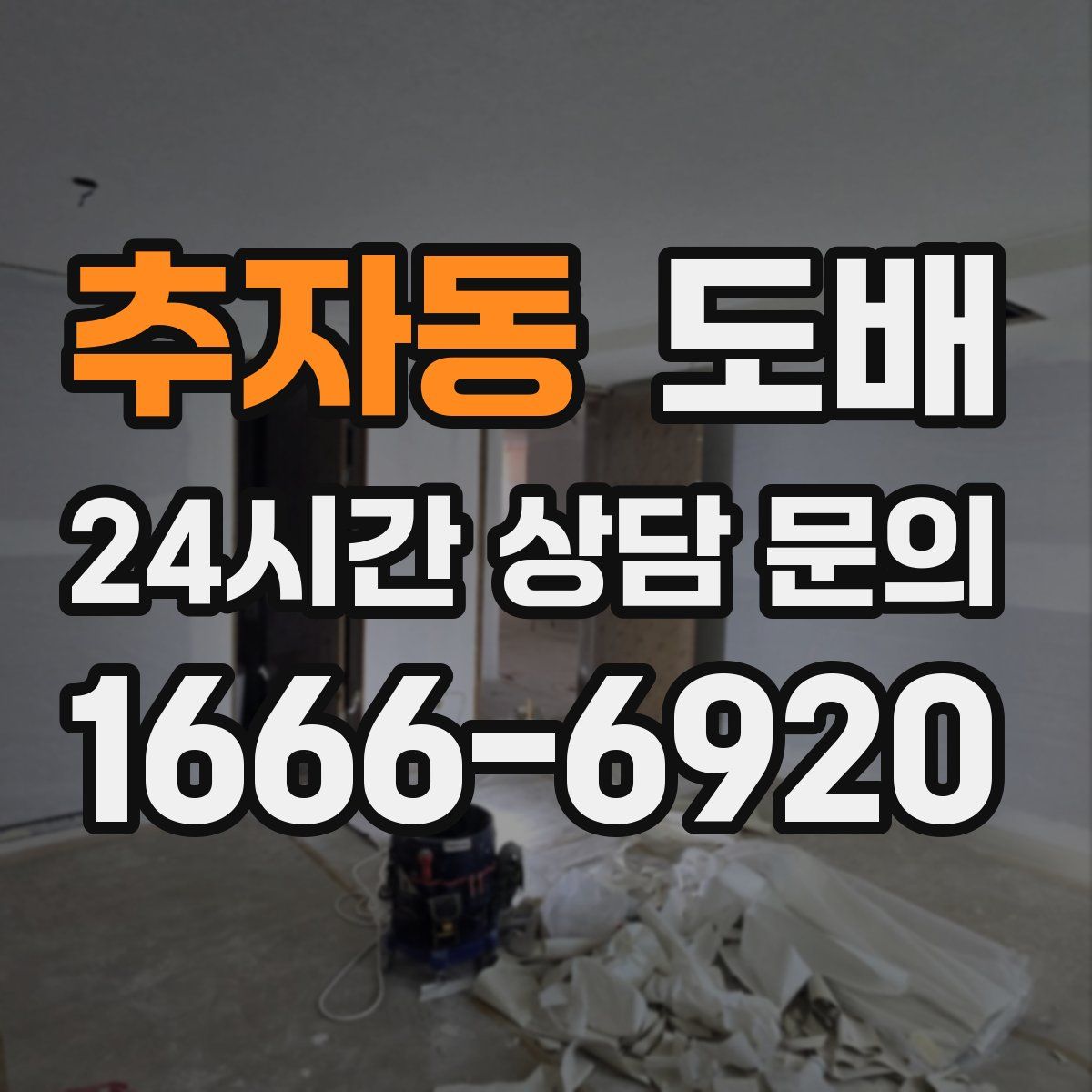 추자동 도배