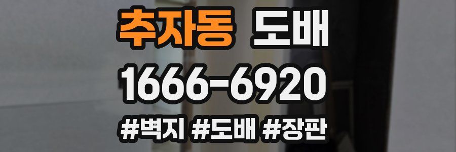 추자동 도배