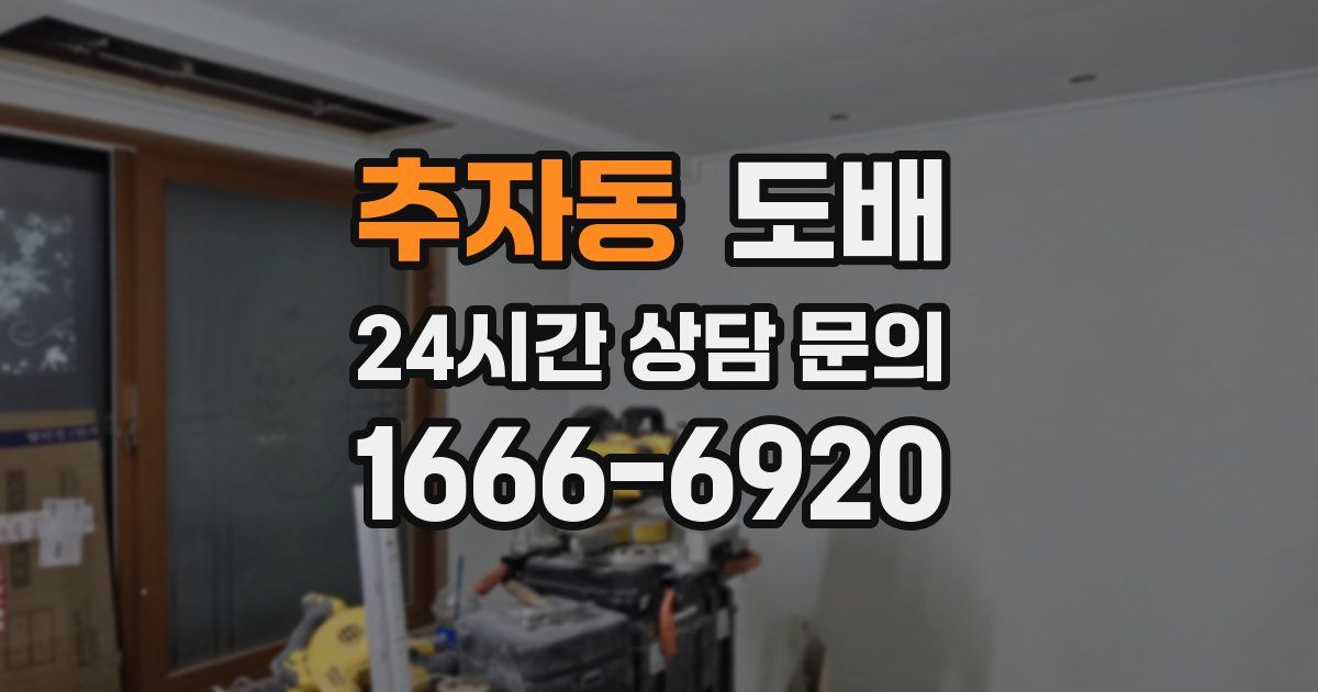 추자동 도배