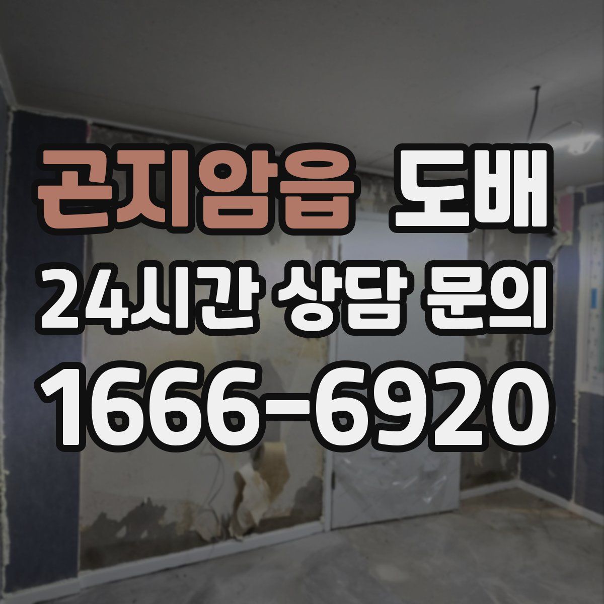 곤지암읍 도배