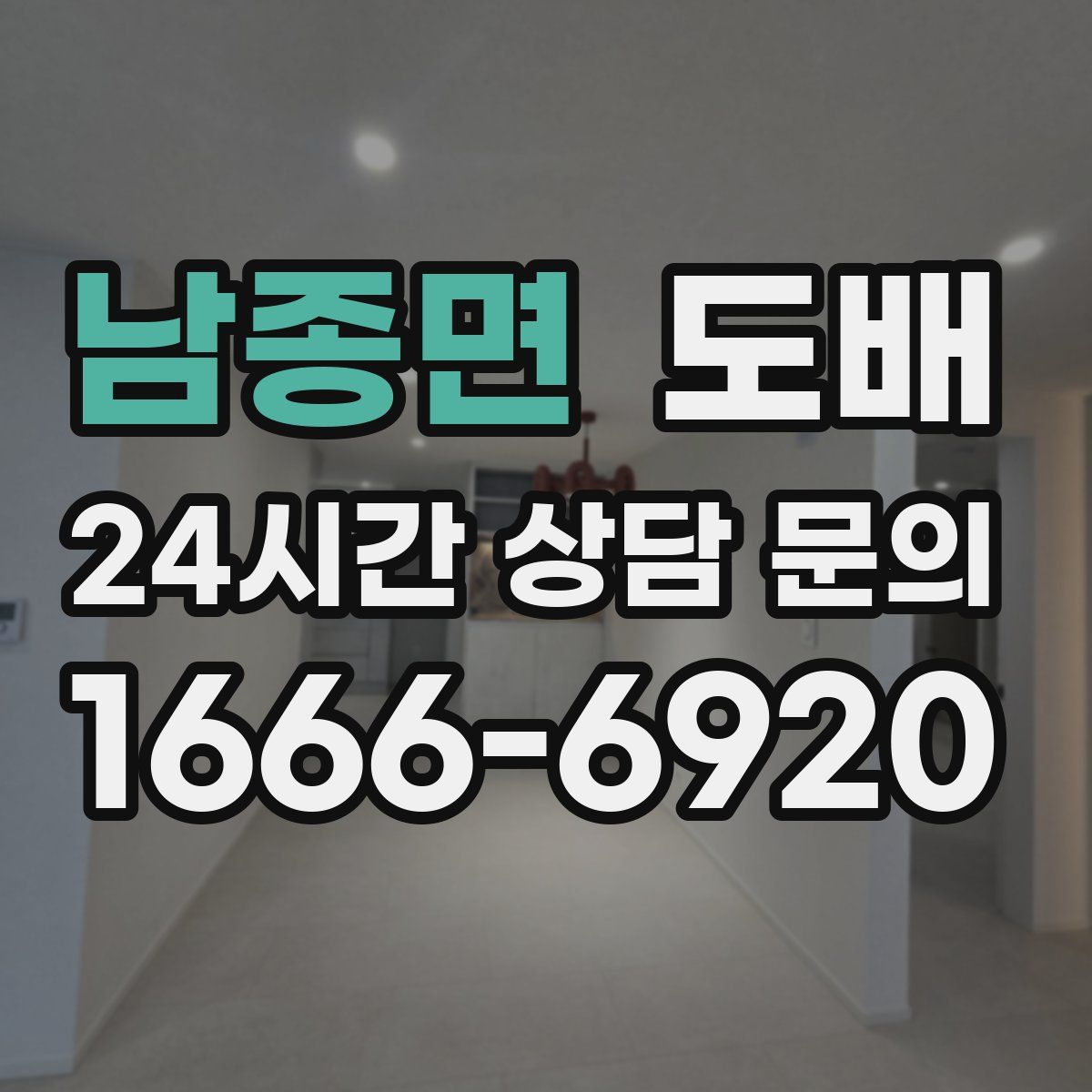 남종면 도배