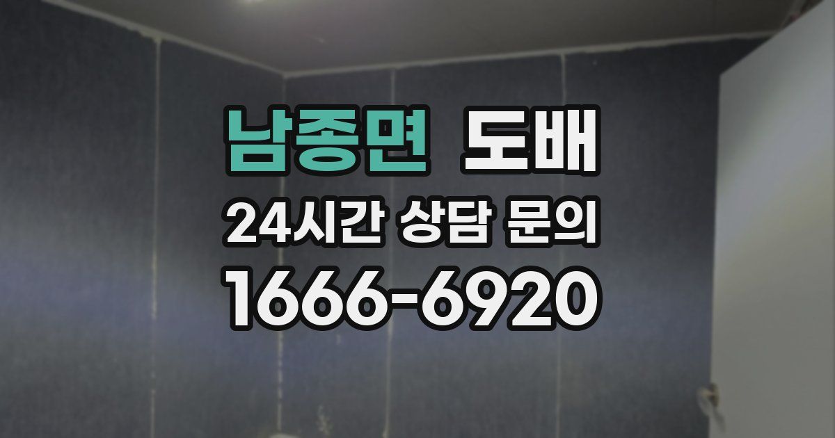 남종면 도배