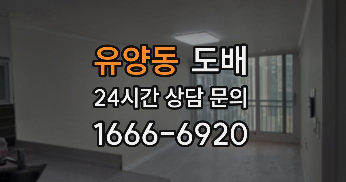 유양동 도배