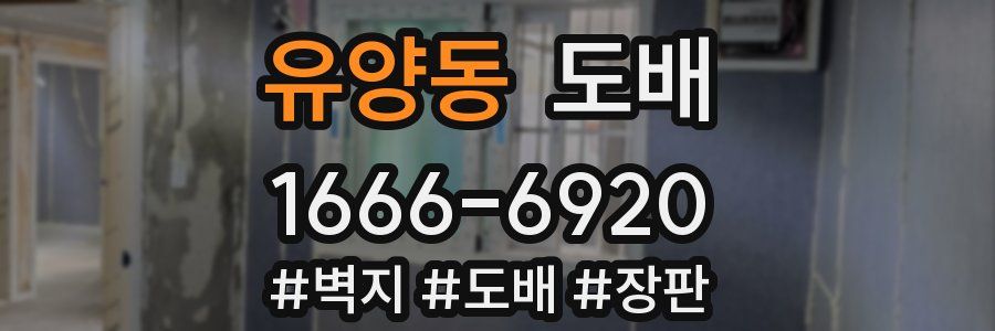 유양동 도배