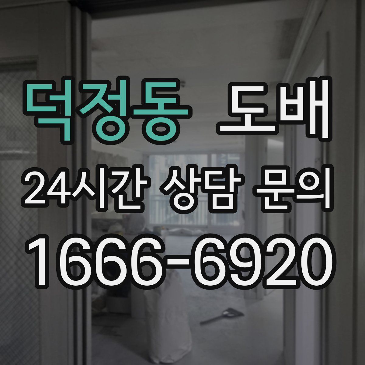 덕정동 도배