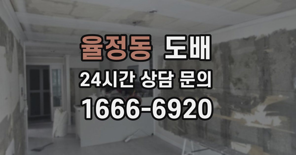 율정동 도배