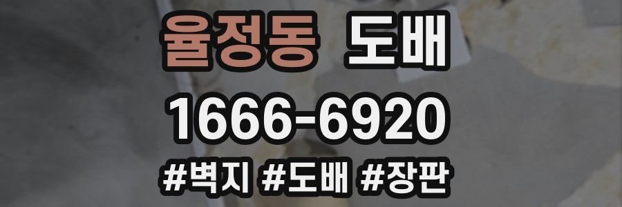 율정동 도배
