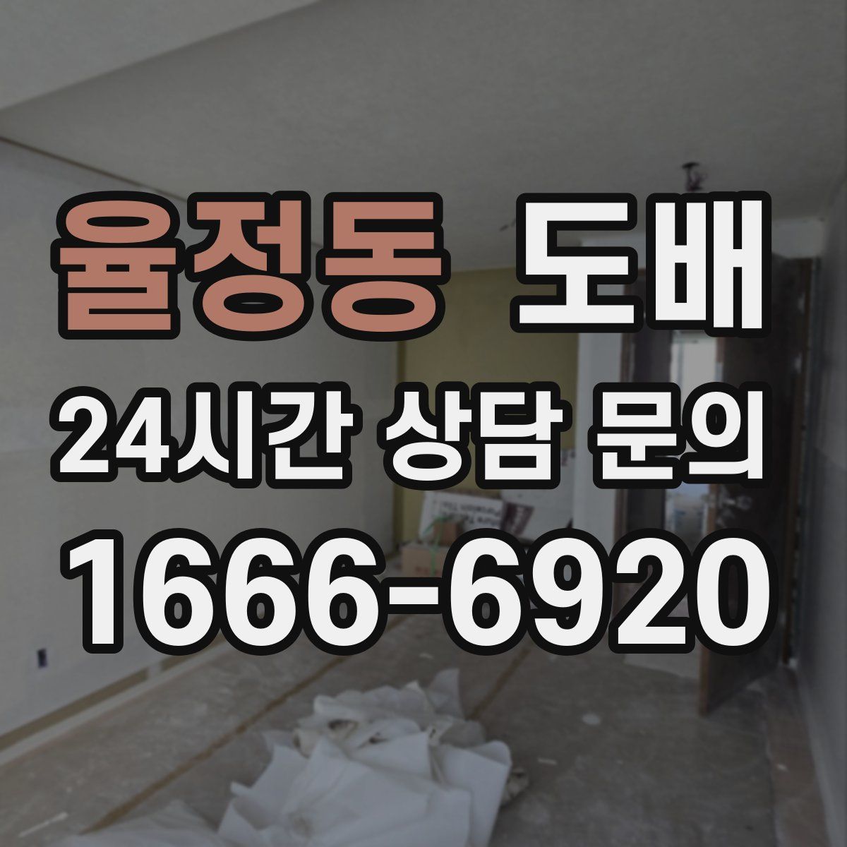 율정동 도배