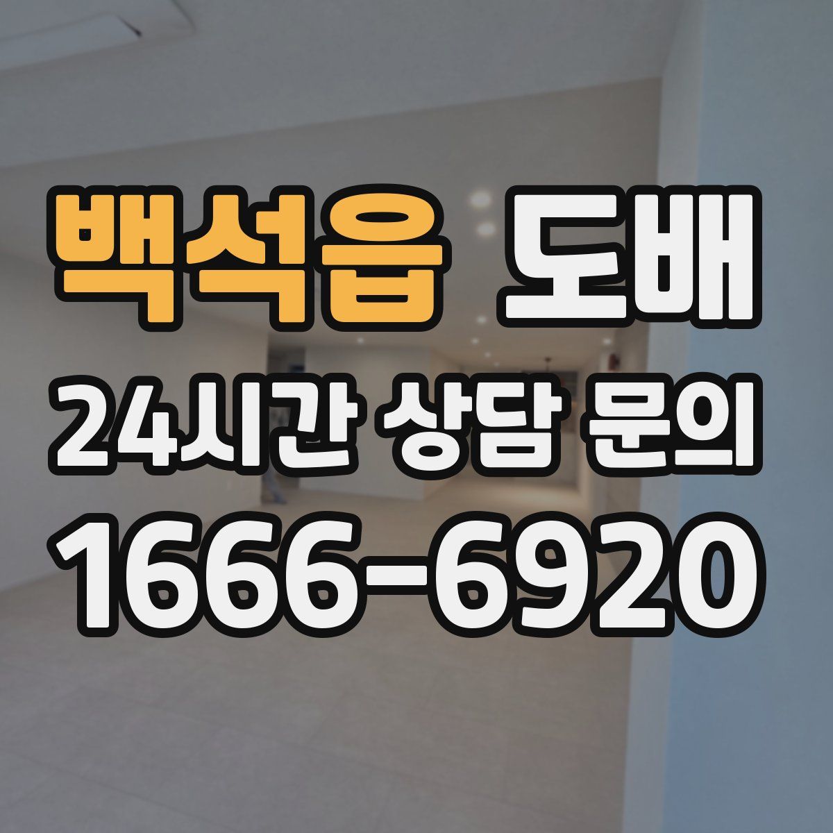백석읍 도배