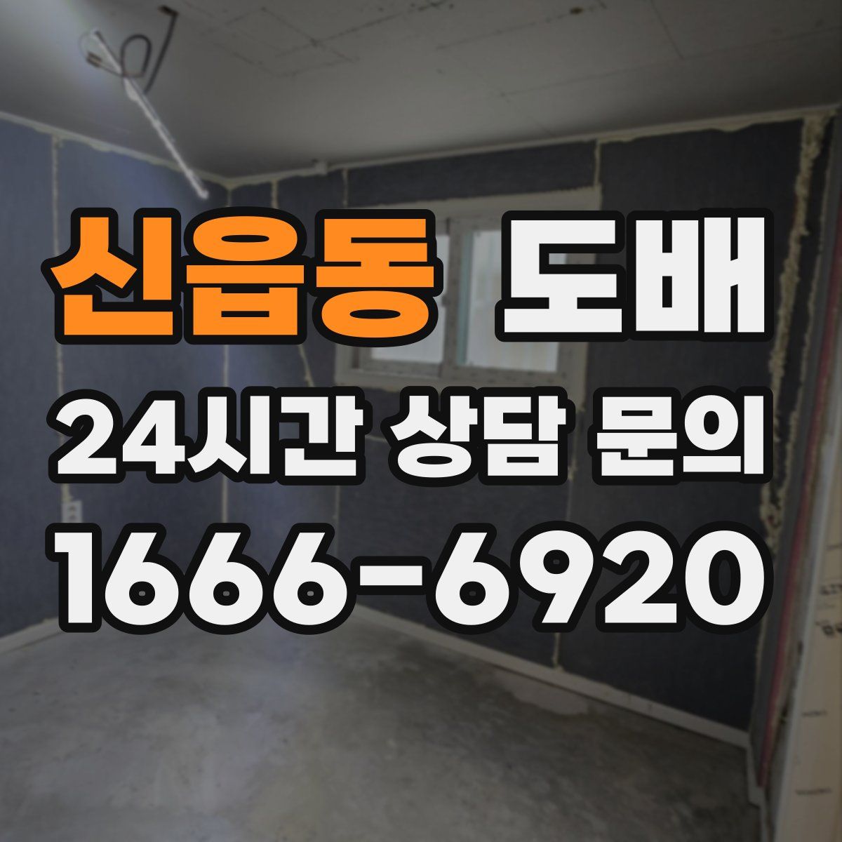 신읍동 도배