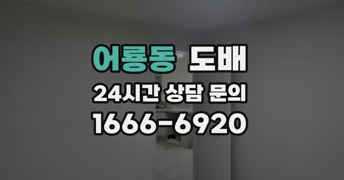 어룡동 도배