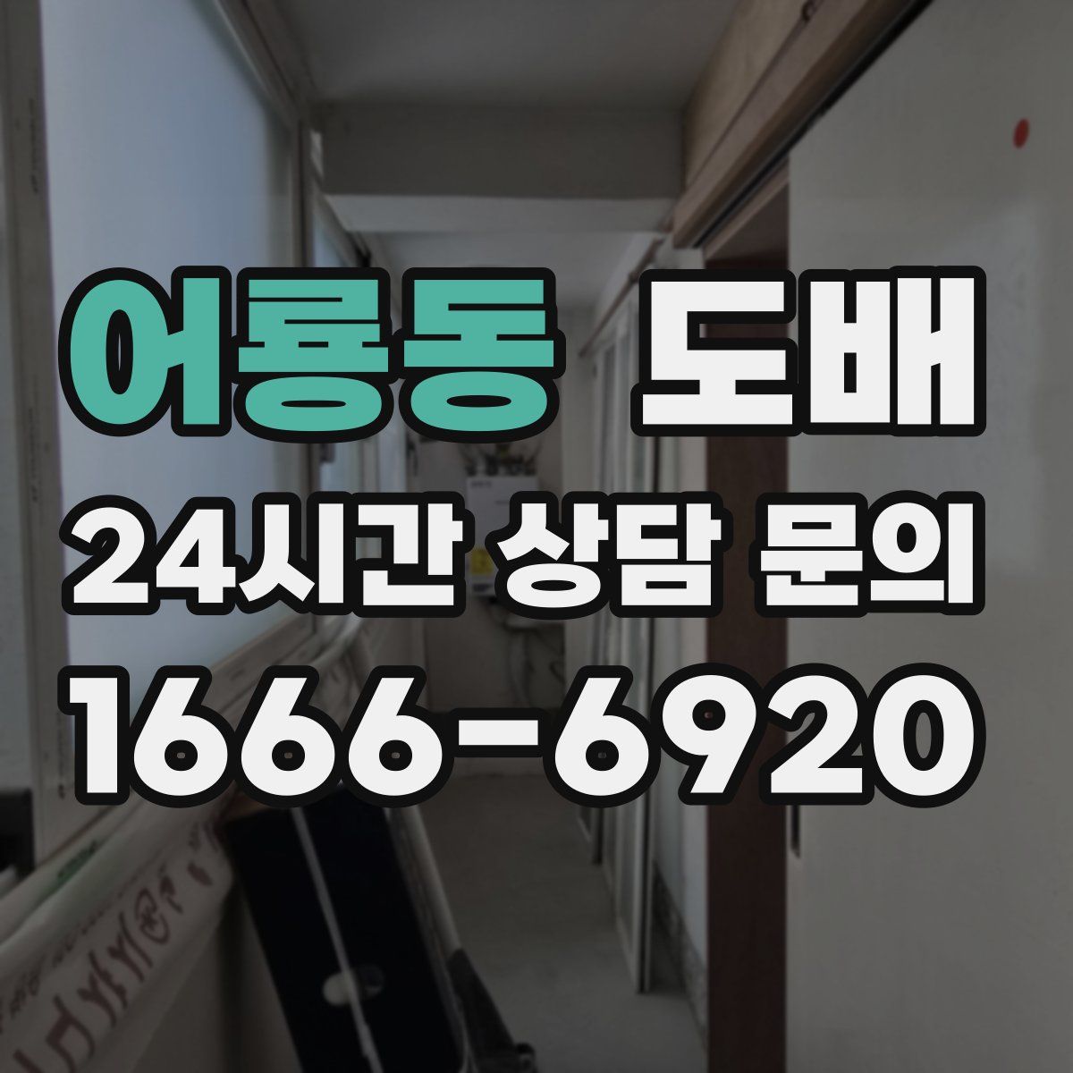 어룡동 도배