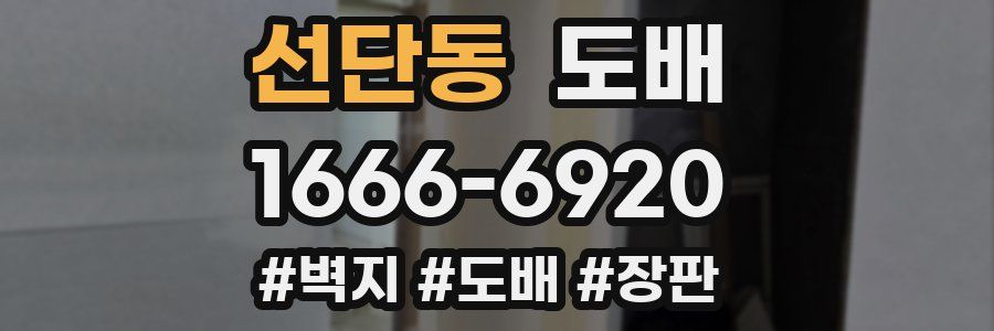선단동 도배