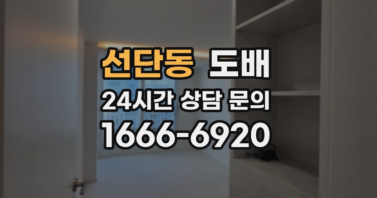 선단동 도배
