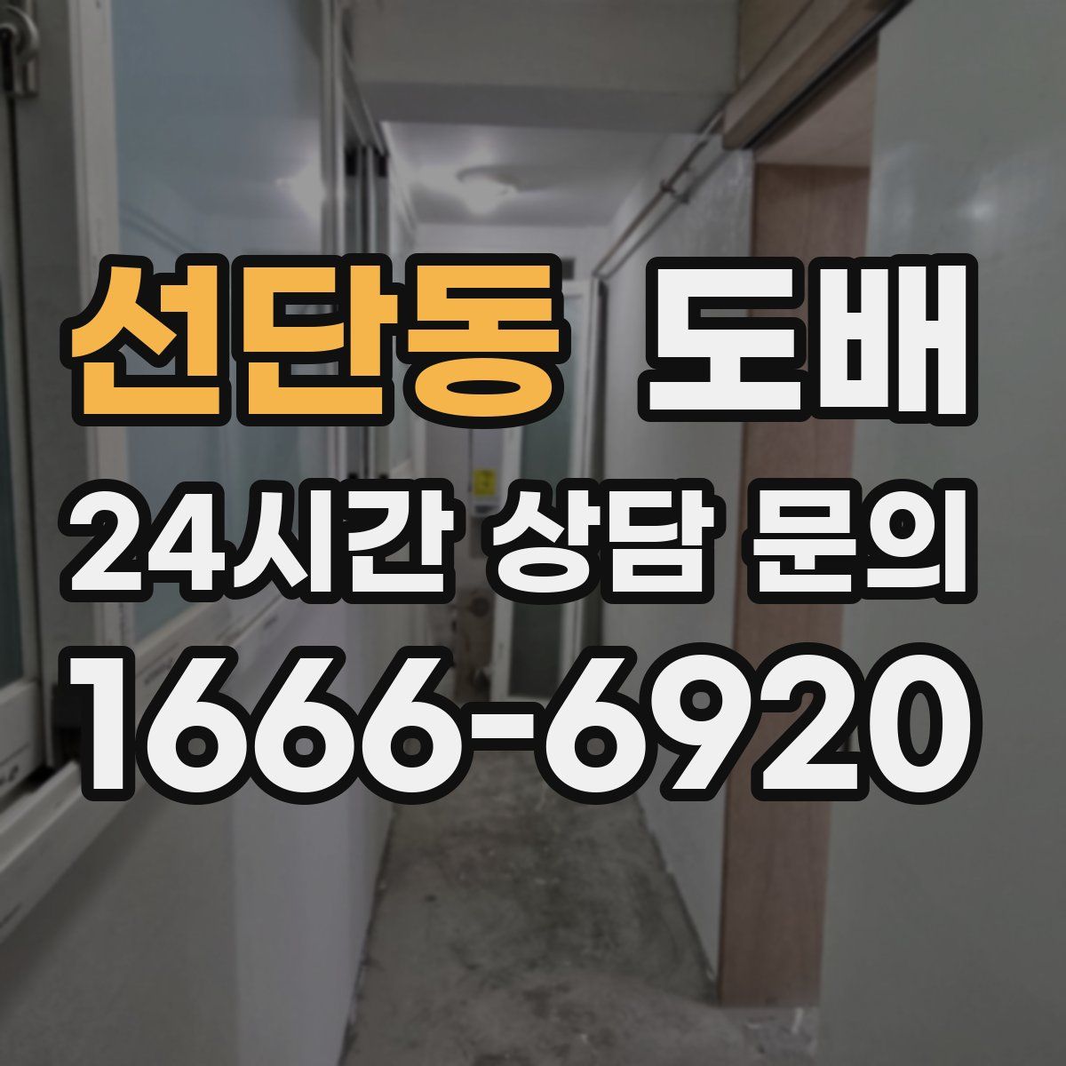 선단동 도배