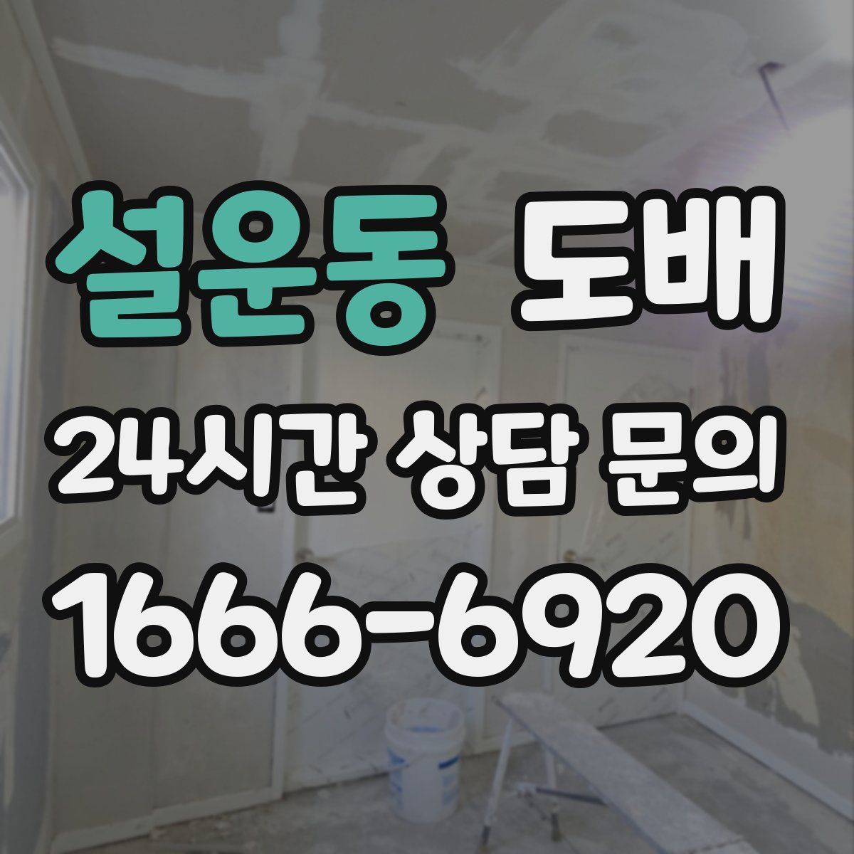 설운동 도배