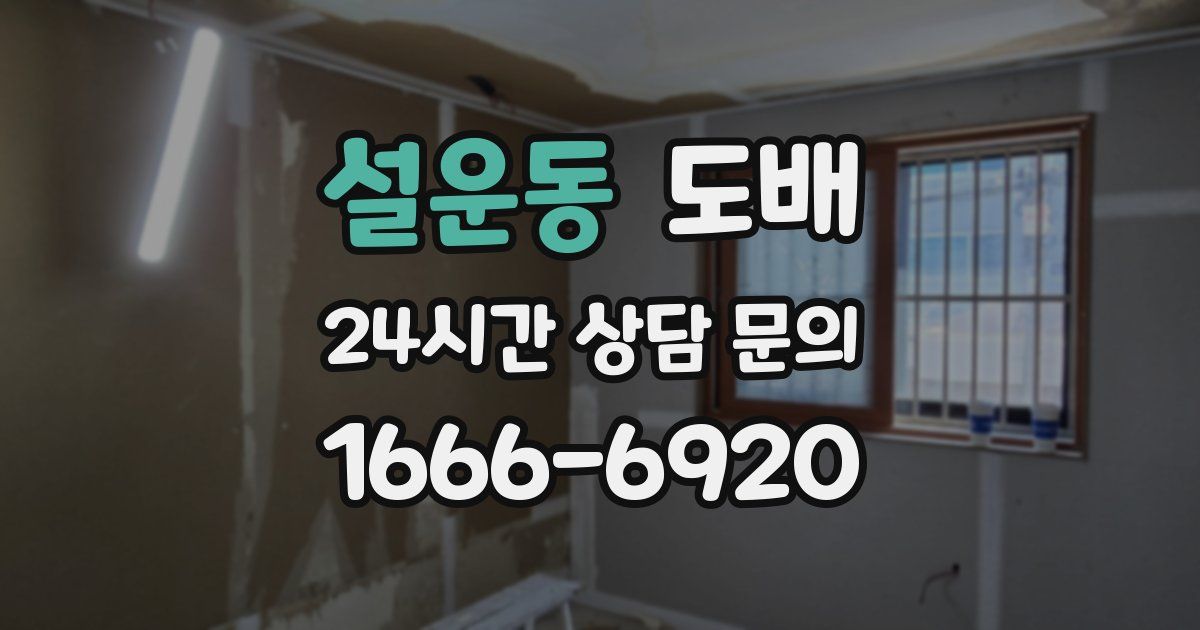 설운동 도배