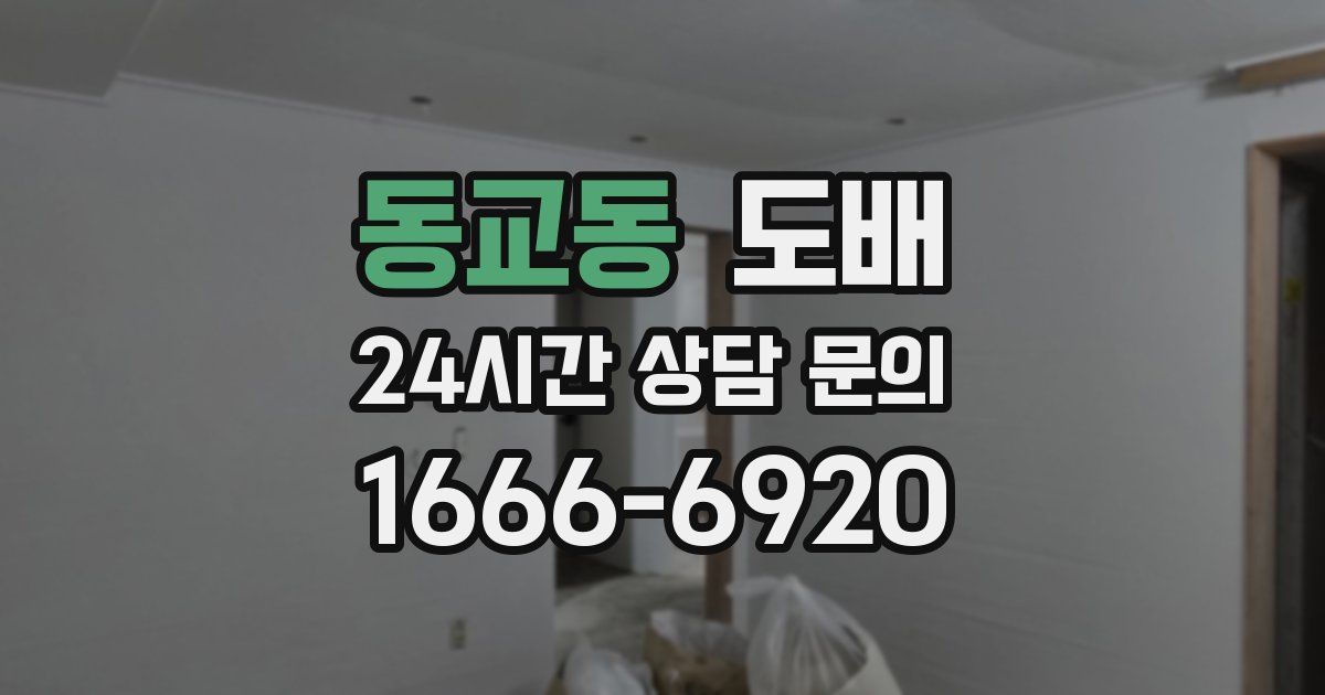 동교동 도배