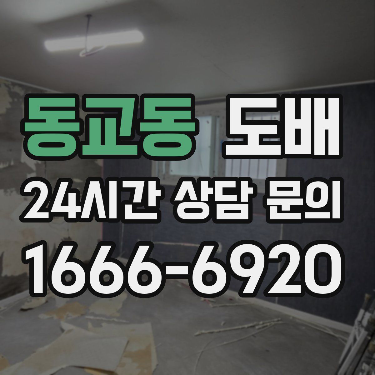 동교동 도배