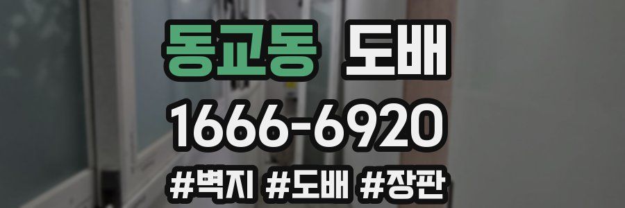 동교동 도배