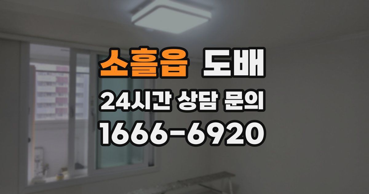 소흘읍 도배