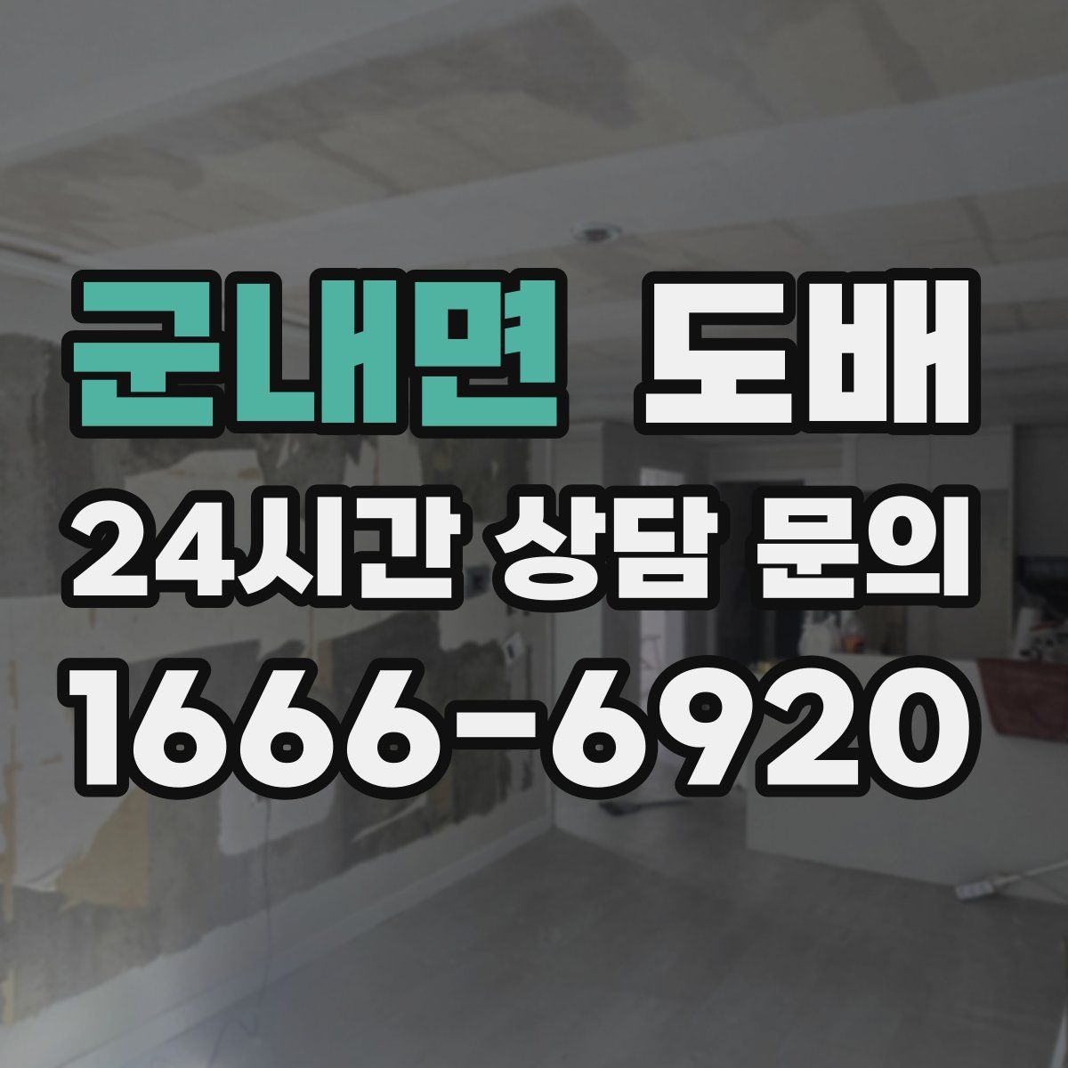군내면 도배