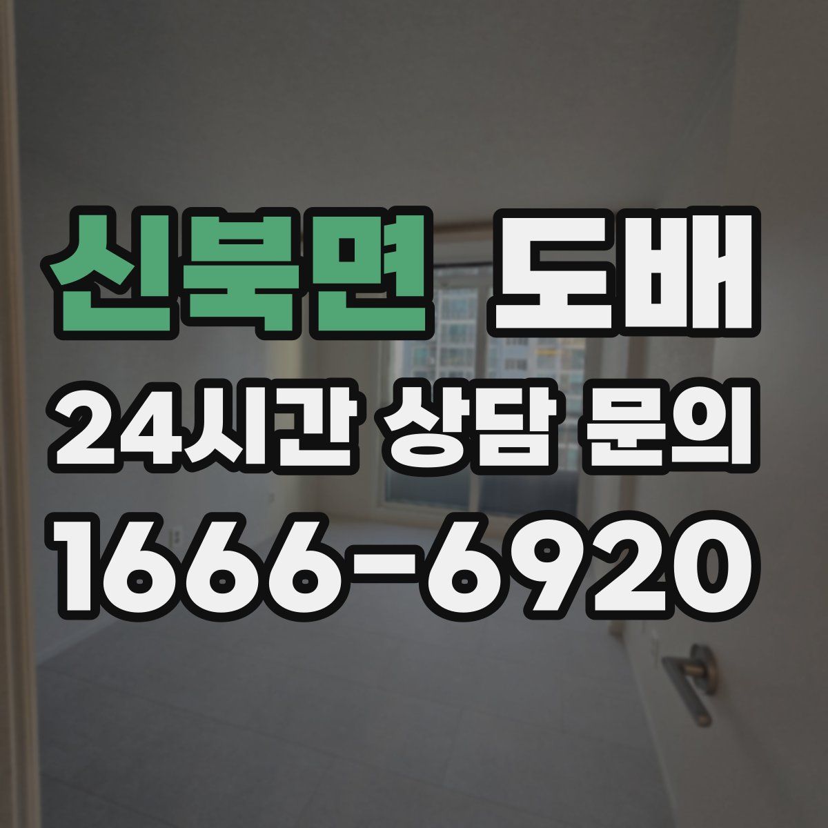 신북면 도배