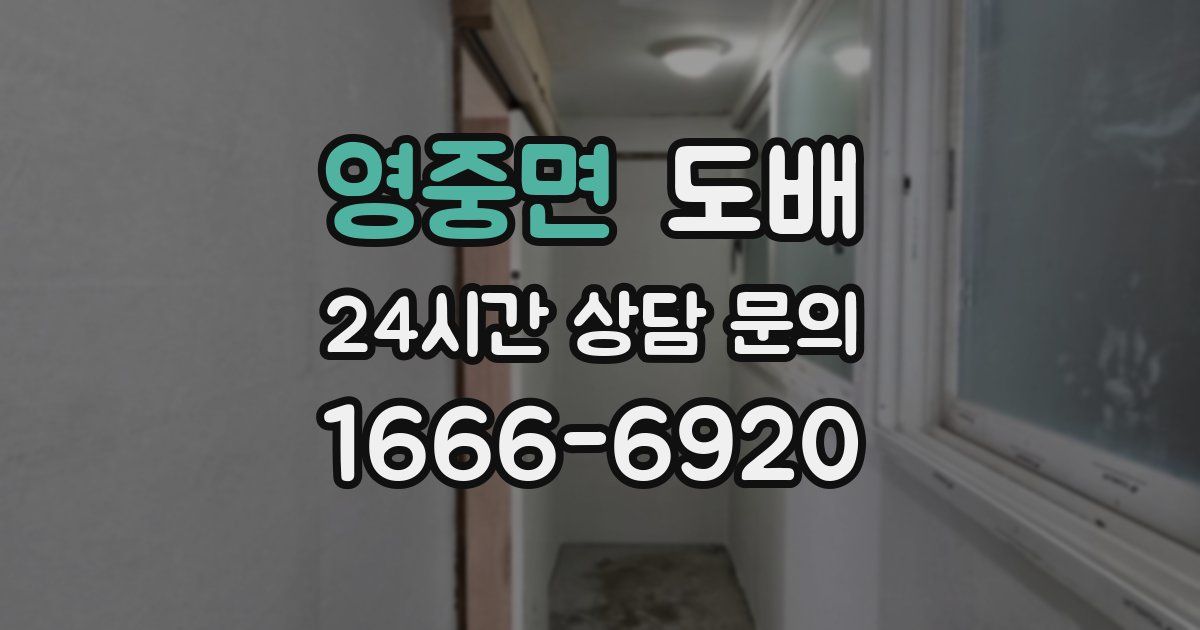 영중면 도배
