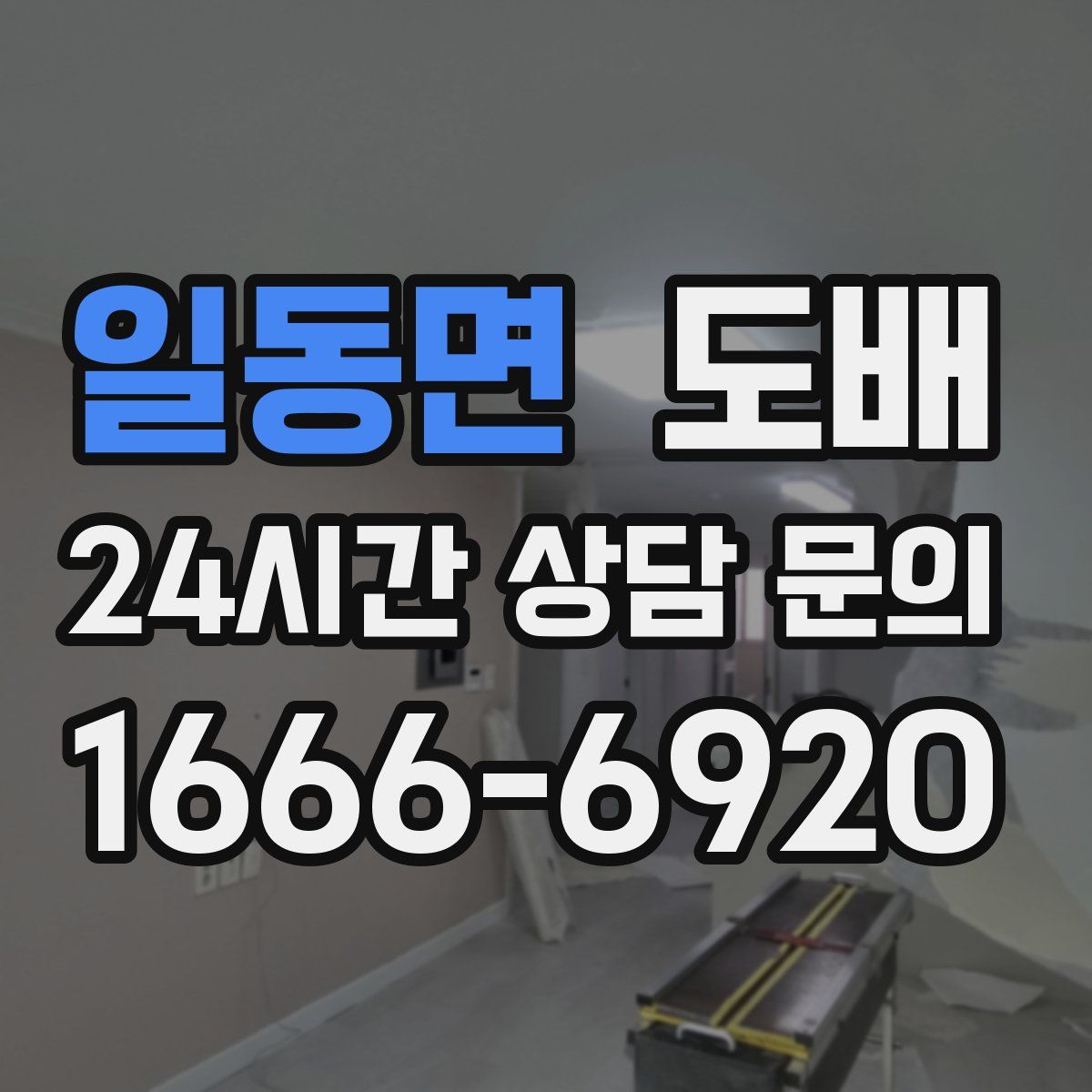 일동면 도배