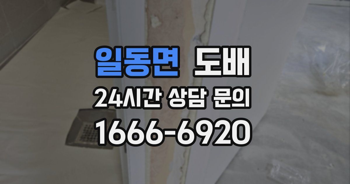 일동면 도배