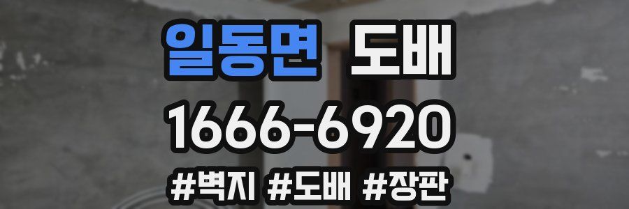 일동면 도배