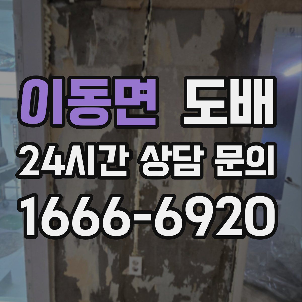 이동면 도배