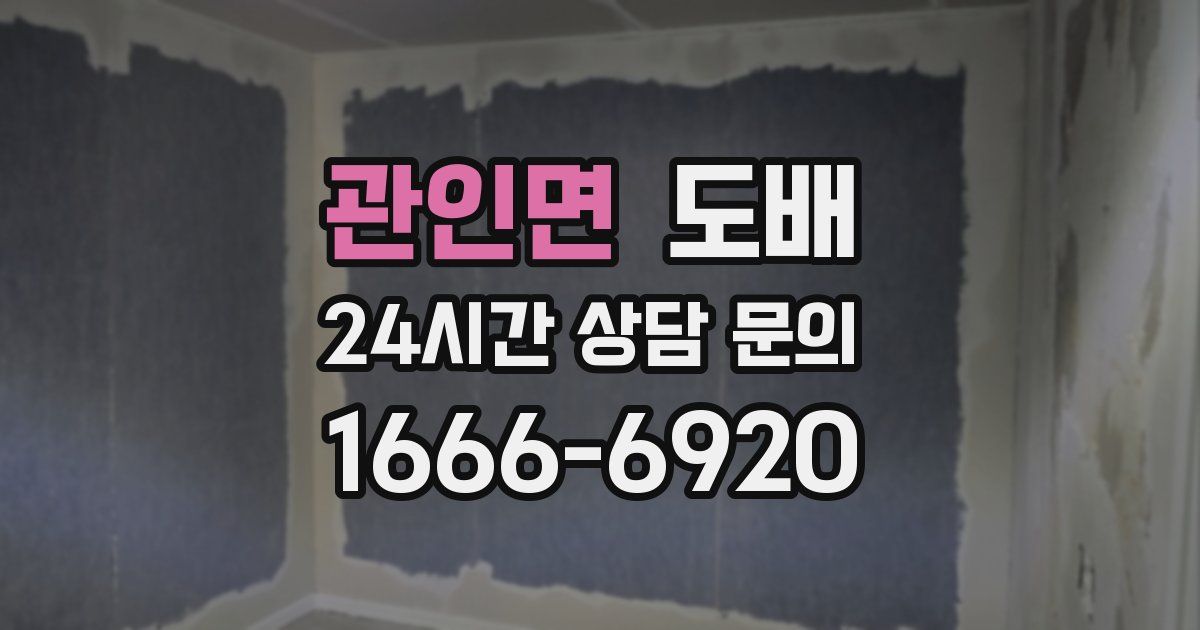 관인면 도배