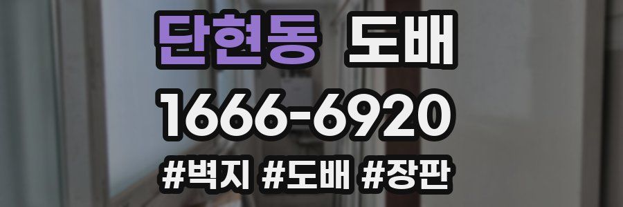 단현동 도배