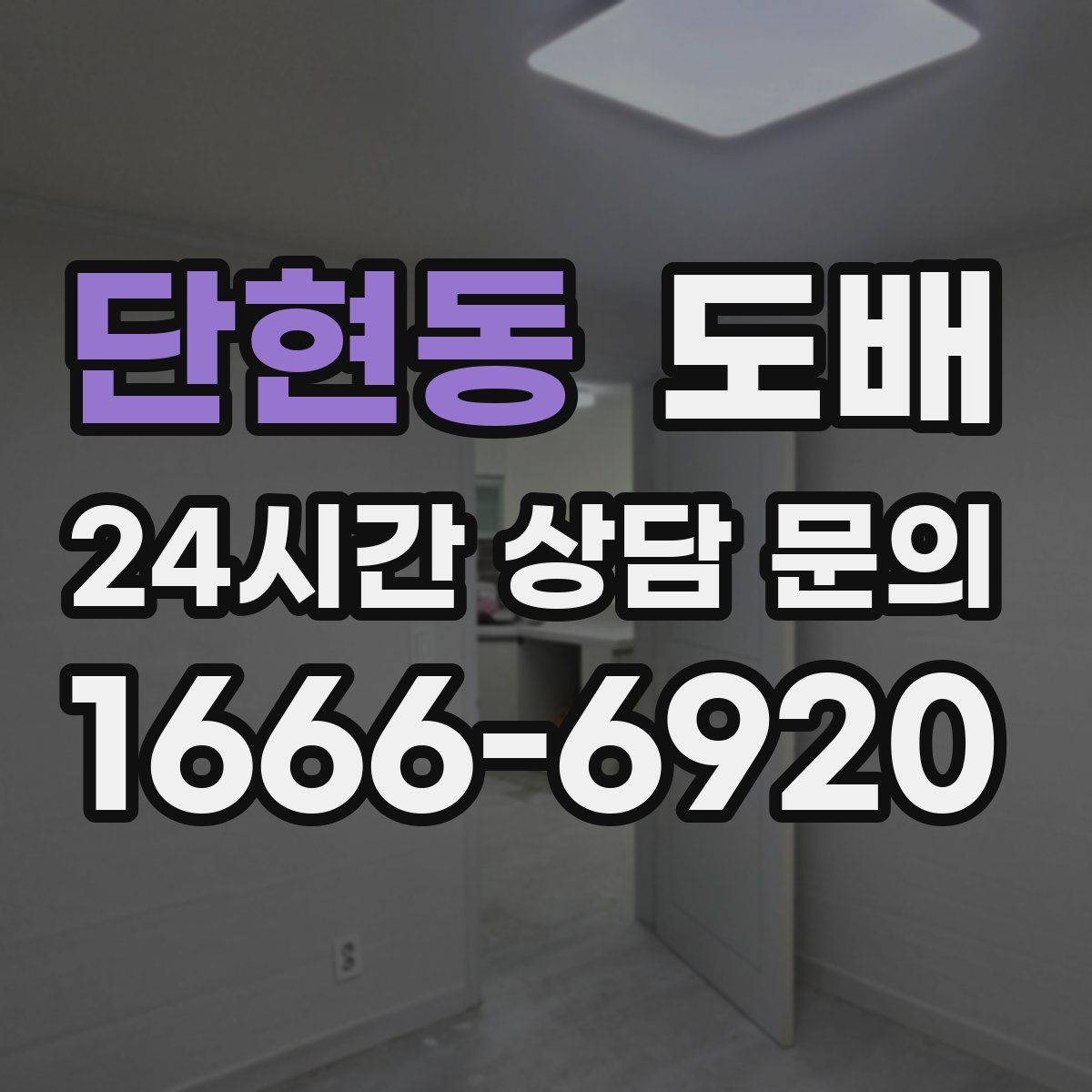 단현동 도배