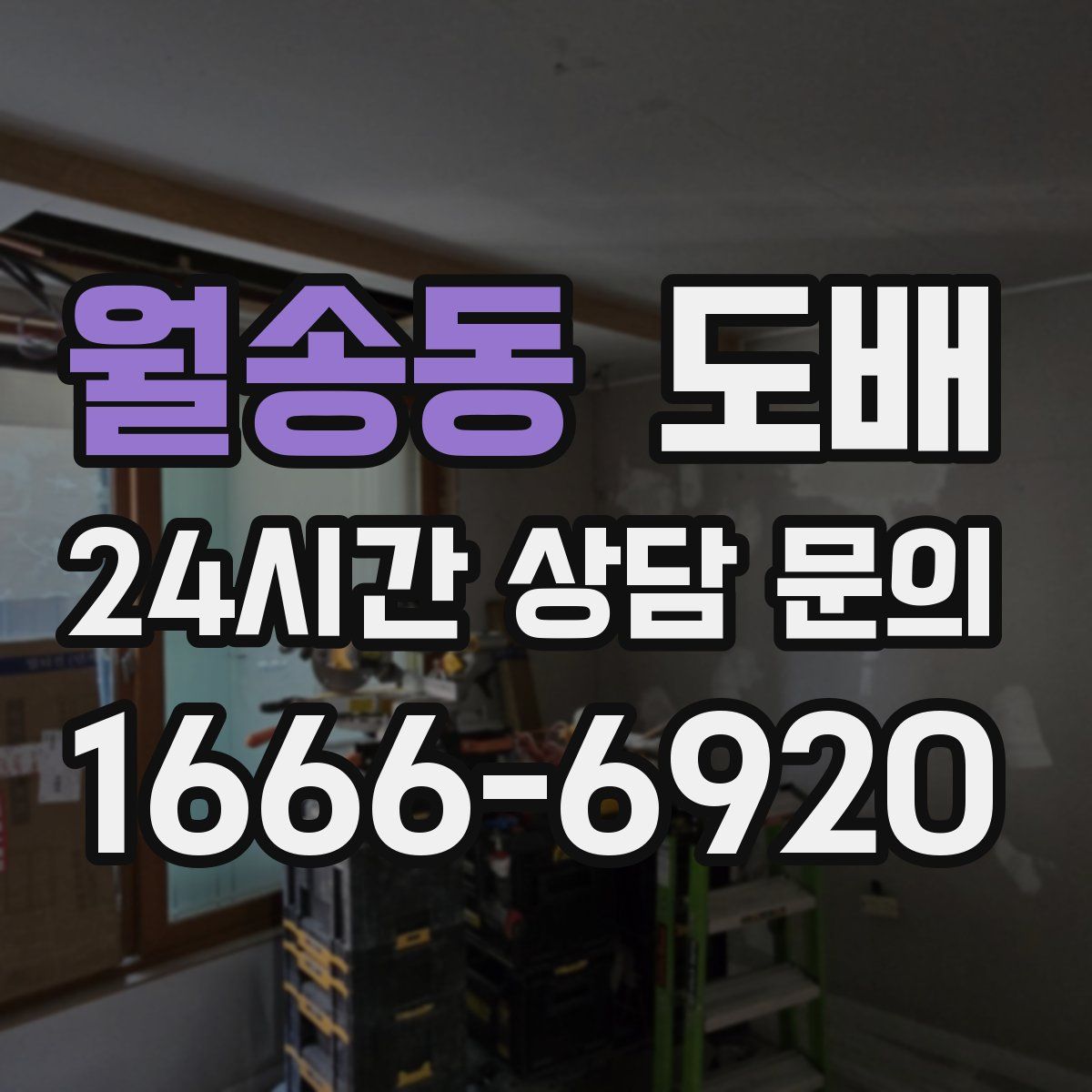 월송동 도배