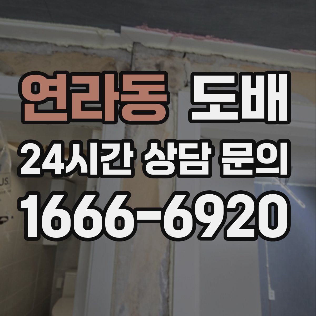 연라동 도배