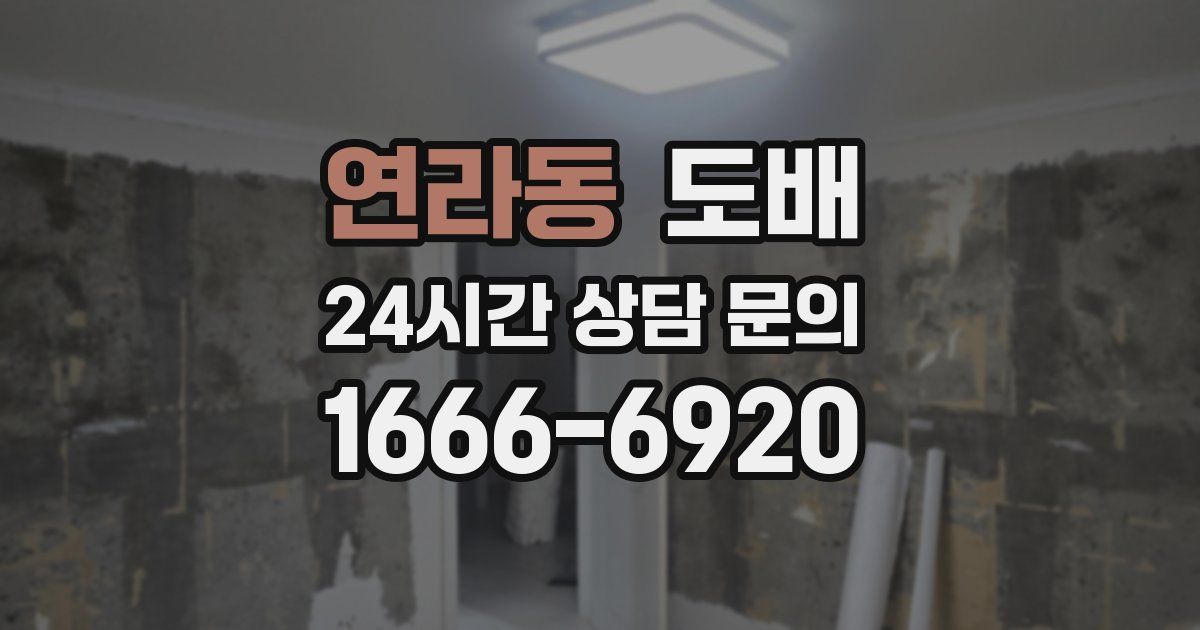 연라동 도배