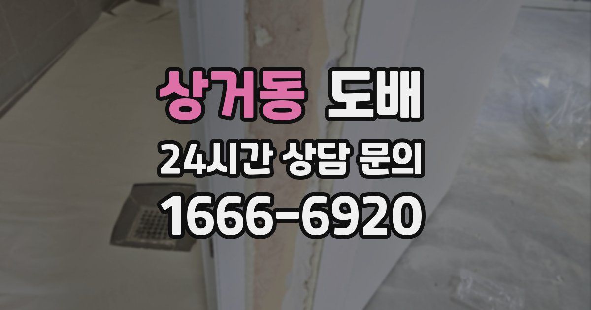 상거동 도배